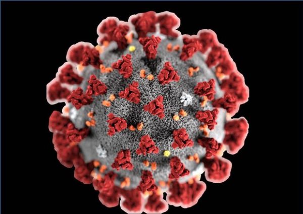 UOMINI BATTERI VIRUS CORONAVIRUS